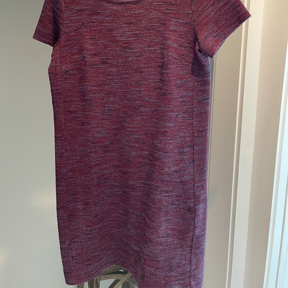 Loft Knit Shift Dress